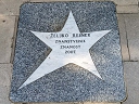 Reiner, Zeljko (id=7808)